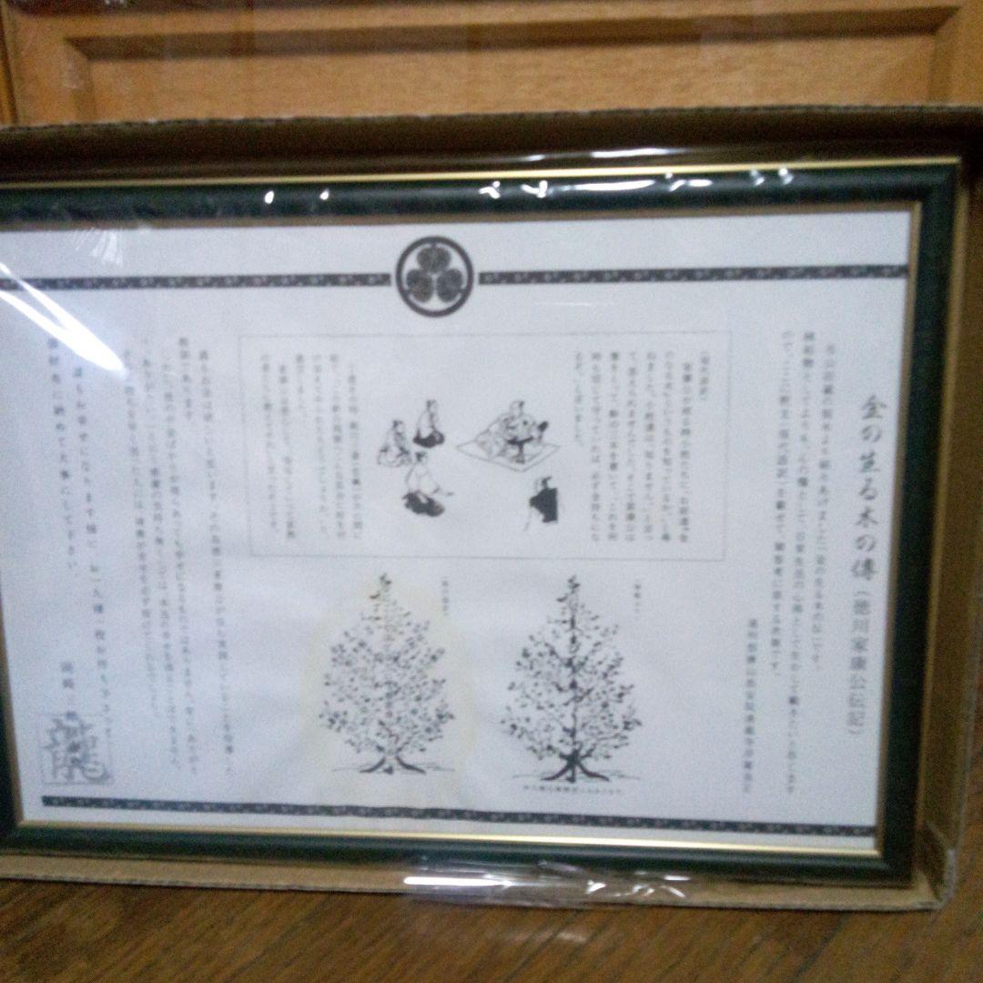 徳川家康公のお金の成る木