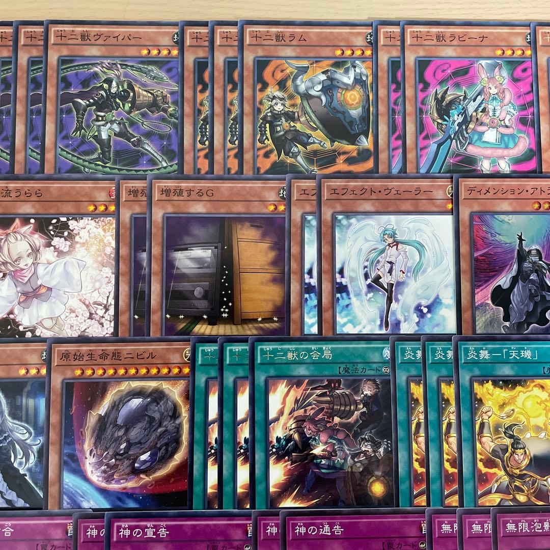 本格構築 十二獣デッキ ドランシア サラブレード 天霆號アーゼウス ライカ