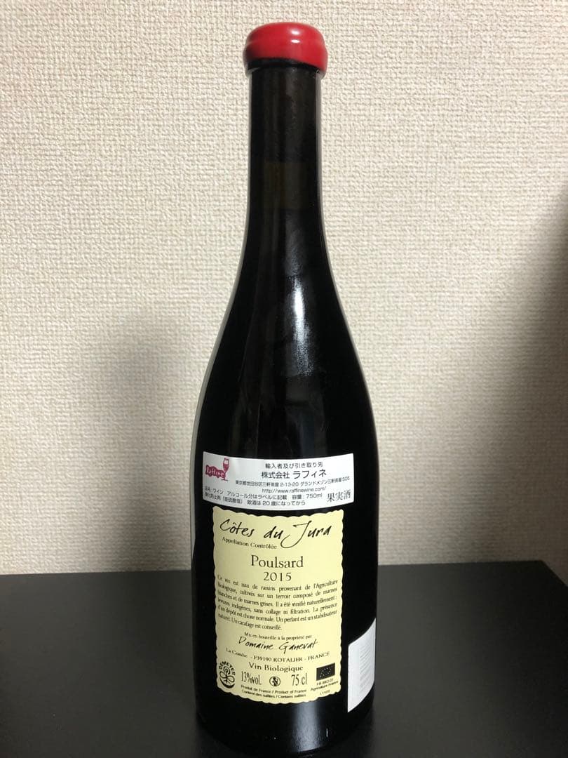 ジャン・フランソワ・ガヌヴァ プールサール ランファン・テリーブル2015