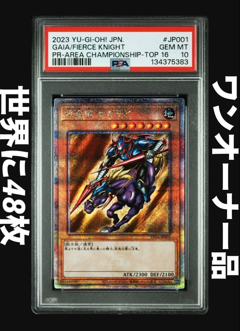 暗黒騎士ガイア　25th PSA10 世界に48枚
