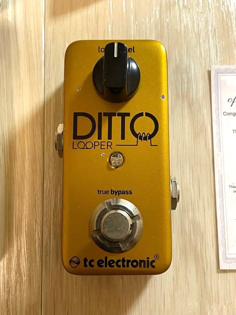 【GOLDエディション】TC Electronic Ditto ルーパー