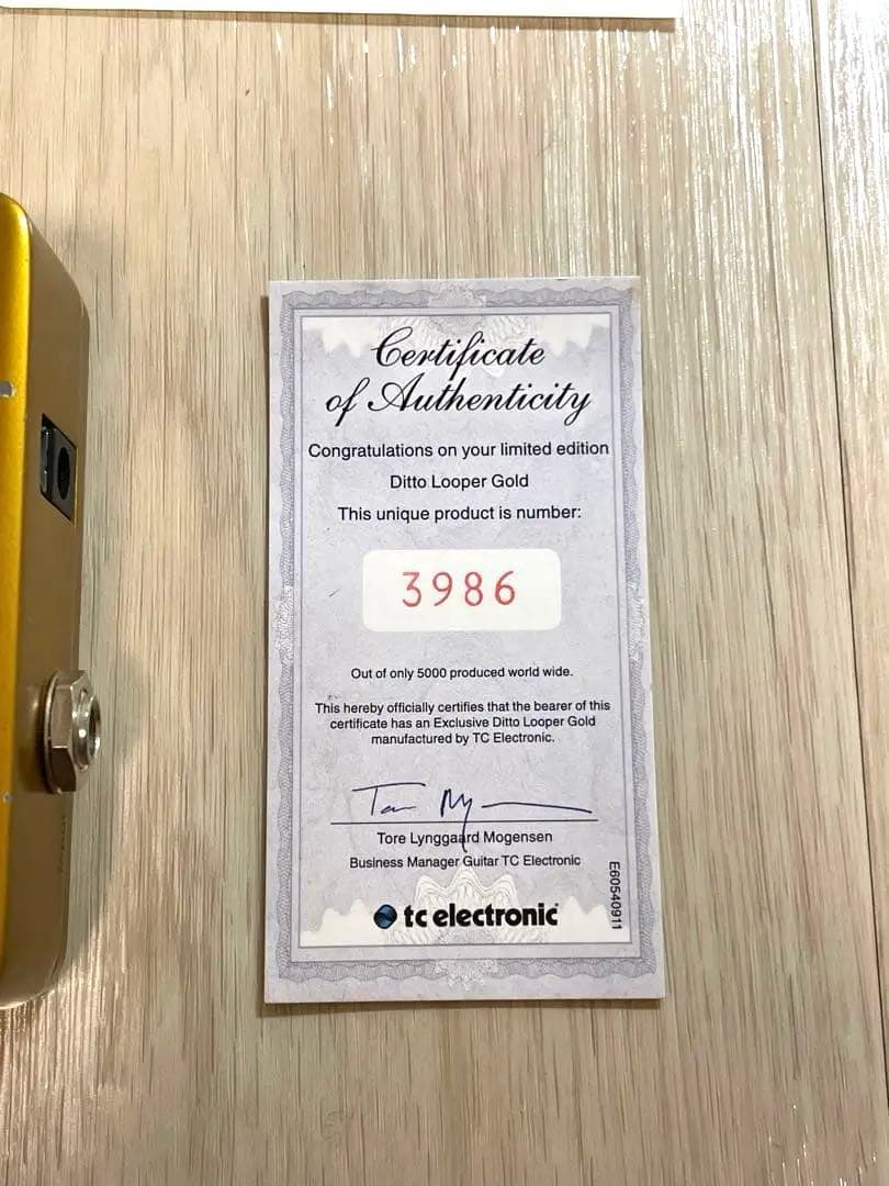 【GOLDエディション】TC Electronic Ditto ルーパー