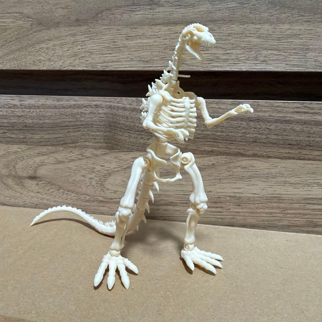 S.H.MonsterArts ゴジラ(2024) ゴジラの骨