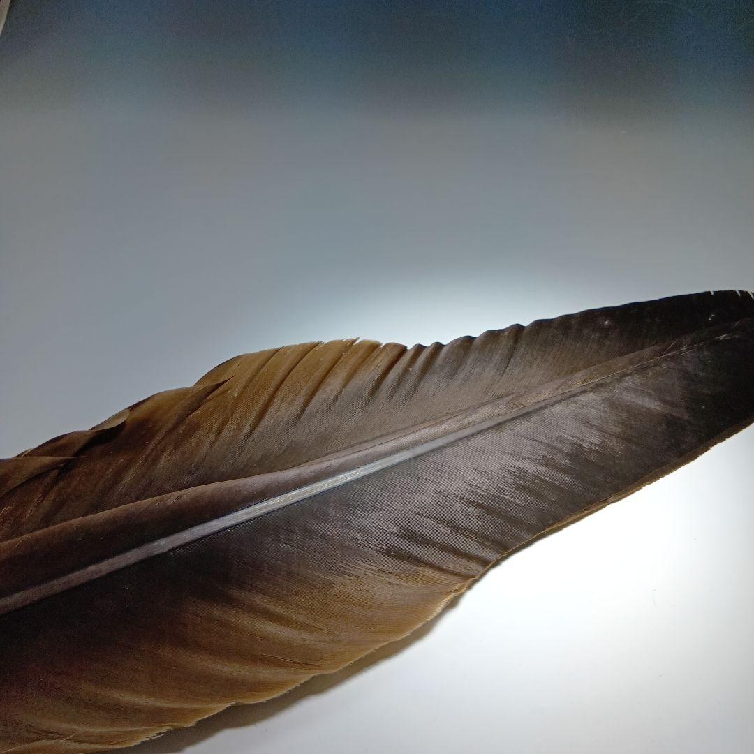 値下げ茶道具　羽箒　全長65センチ