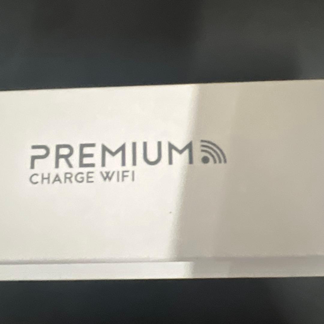 ポケット チャージWiFi U20P (日本国内50GB/30日ギガ付)