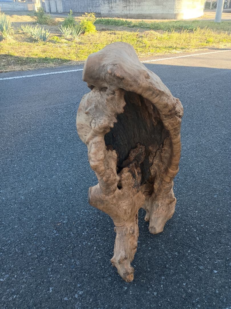 自然天然木(根)とても珍人間の歩姿です自然の感動てきア−ト作品です一品です