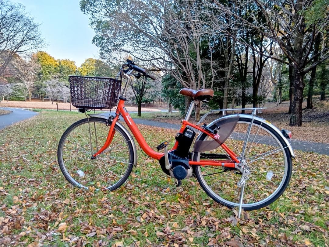 【軽量モデル】Panasonic ビビ・L 2019年製 バッテリー80%以上