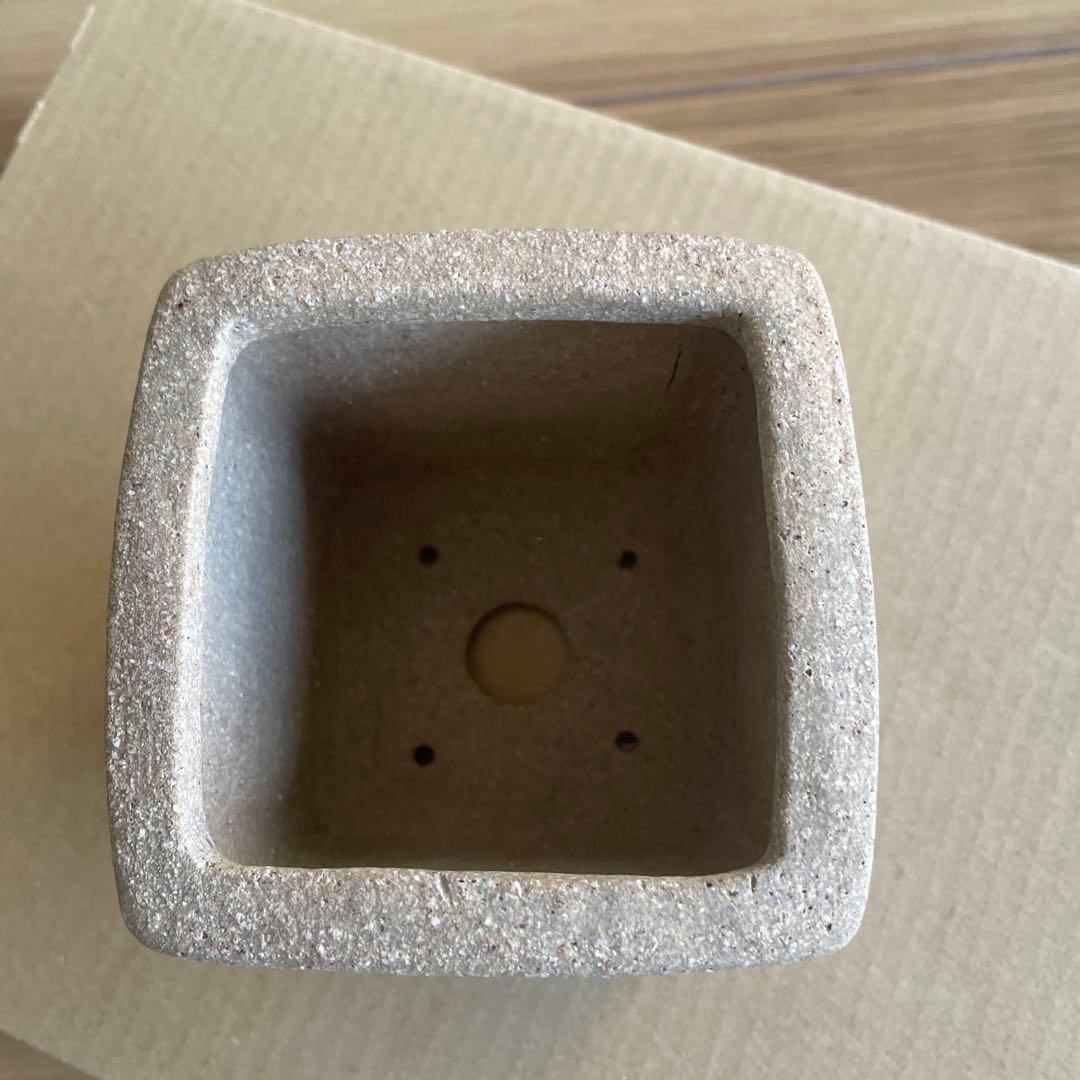 盆栽鉢　桑津香石　絵鉢　落款印　山水画　梅　桜　鳥　松　四角　山野草