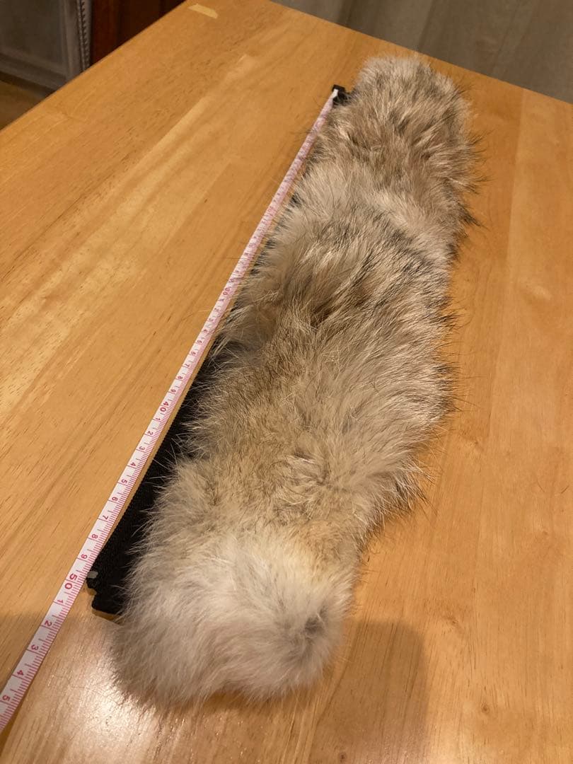 カナダグース   ファーのみ　天然コヨーテ　正規品