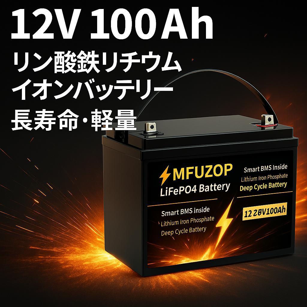0811 リン酸鉄リチウムイオンバッテリー 12v 100ah 1280Wh 3
