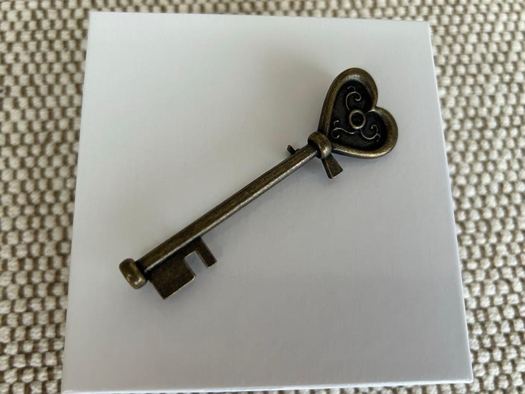 最終お値下げ！！ときめきトゥナイト　Supergroupies 限定品ブローチ