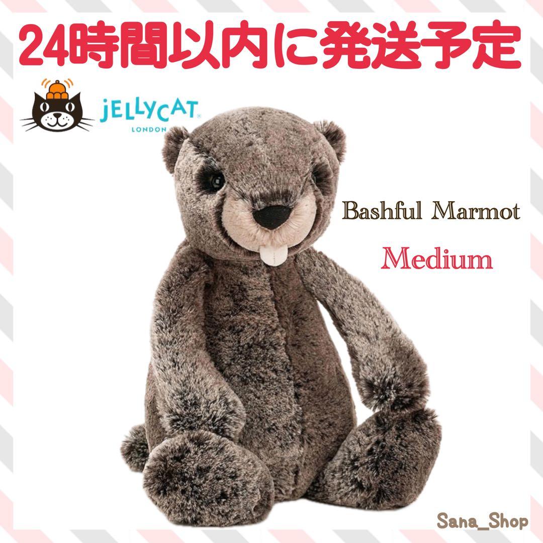 新品　廃盤　希少　 Bashful Marmot マーモット
