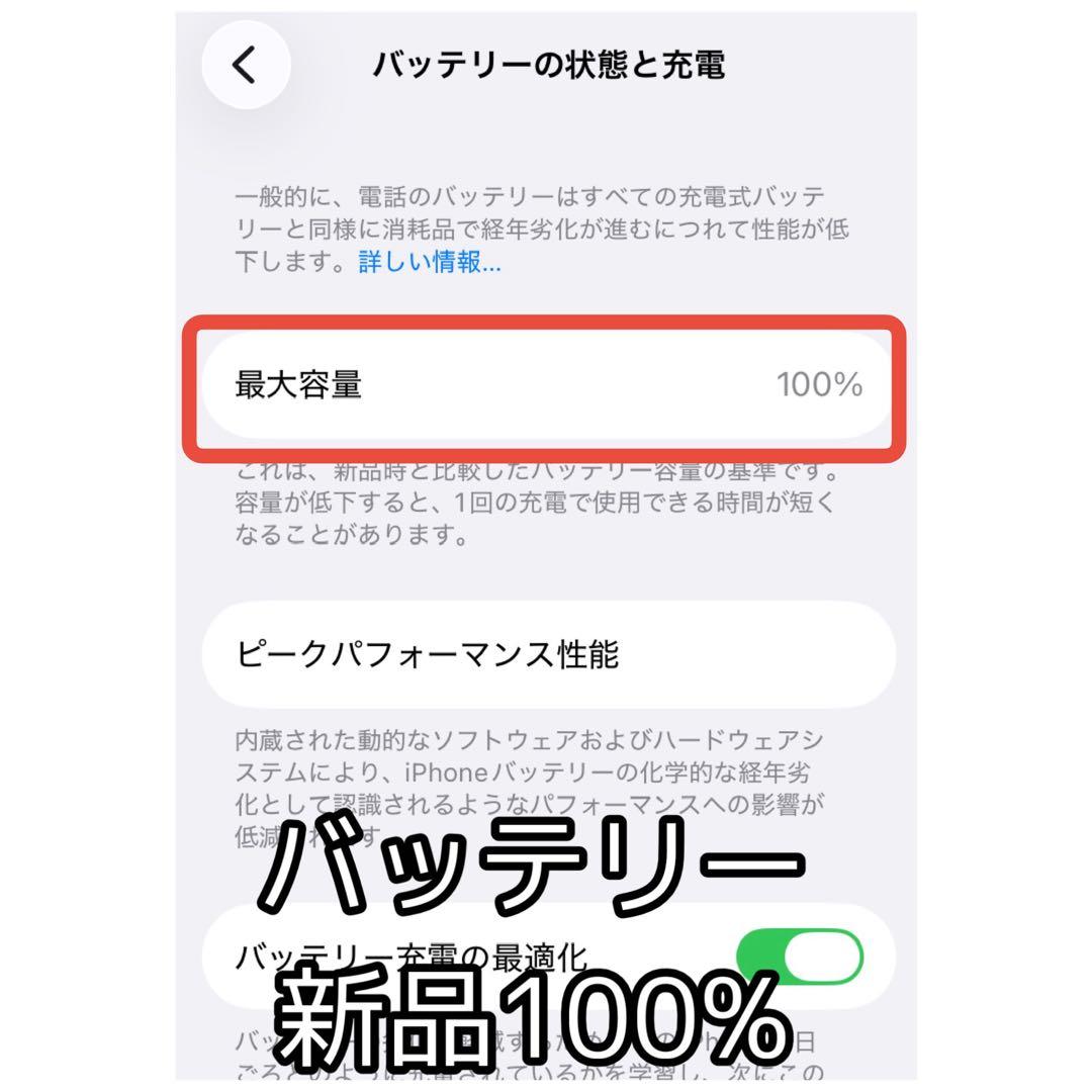 iPhone12 mini 256GB|SIMフリー|バッテリー新品100%