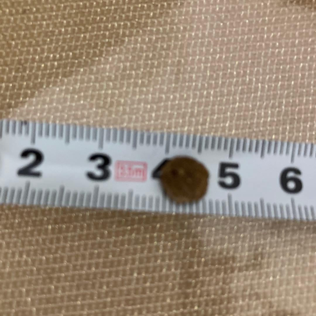 新品　ネイチャーズプロテクション　ホワイトドッグ　フィッシュ ジュニア 10kg