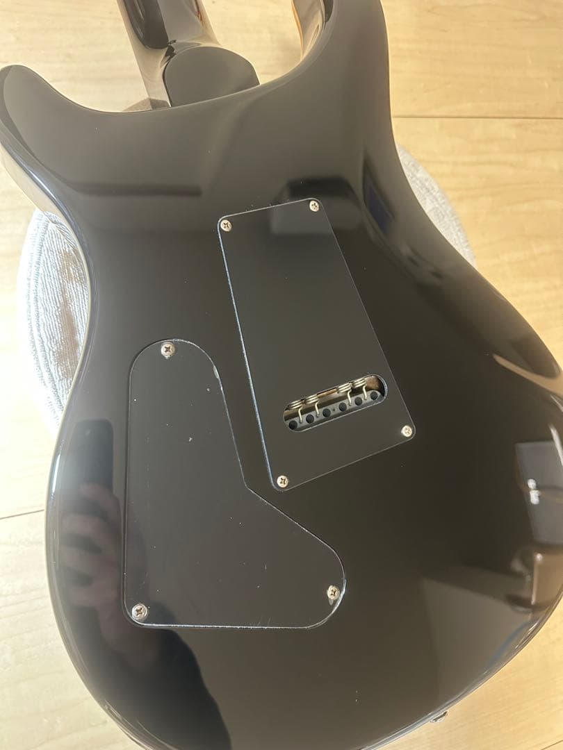 ギター PaulReedSmith PRS SE Custom24 Whale Blue