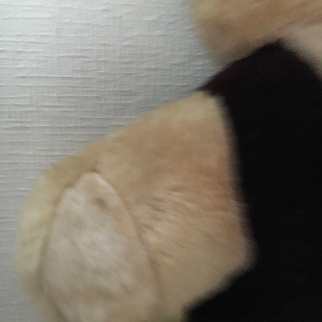 古いくまのぬいぐるみ