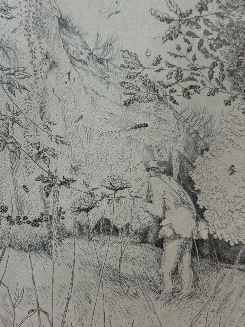 ジャン＝エミール・ラボルール 【昆虫学者 (L' Entomologiste】