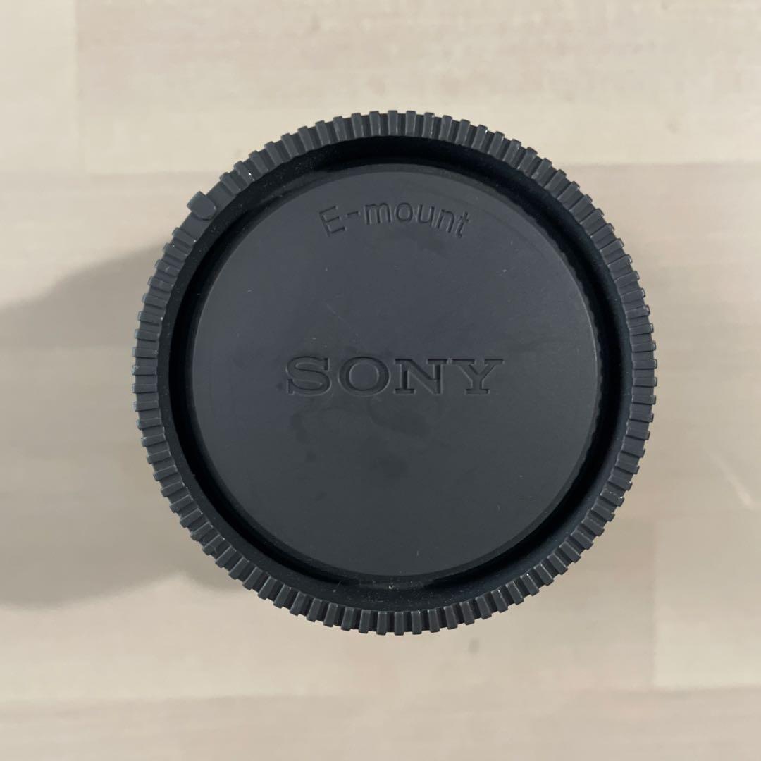 white tiger　Sony FE 24mm F1.4 GM レンズ