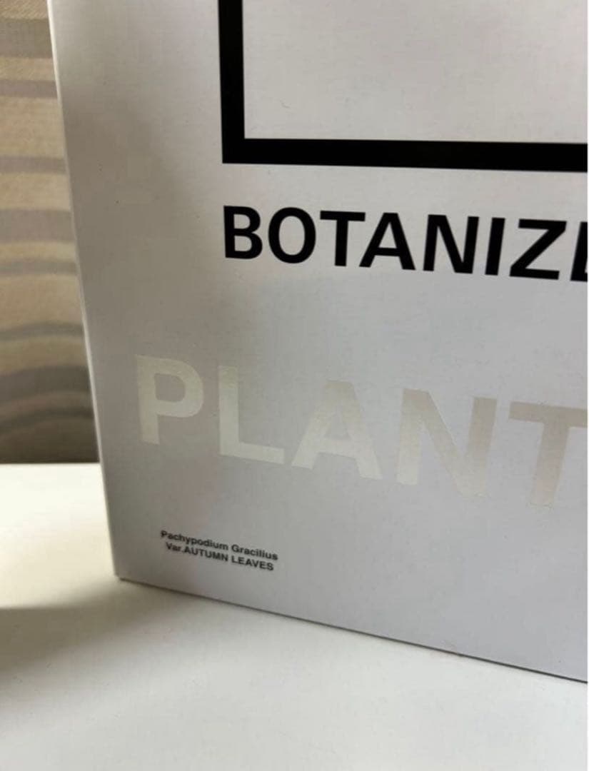 ボタナイズ メディコムトイ フィギュアbotanizeクレベリン　グラギリス