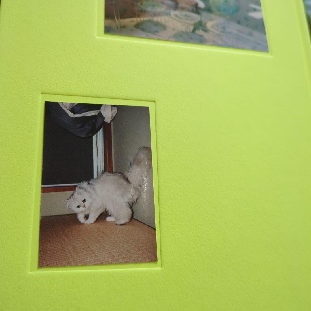 川島小鳥 特装版 おはようもしもしあいしてる　限定100 オリジナルプリント付