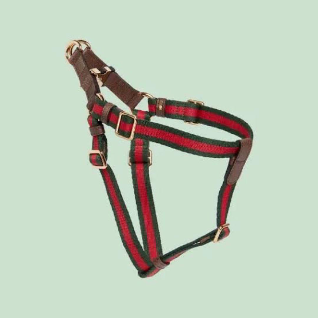 新品未使用　GUCCI グッチ　ペットハーネス