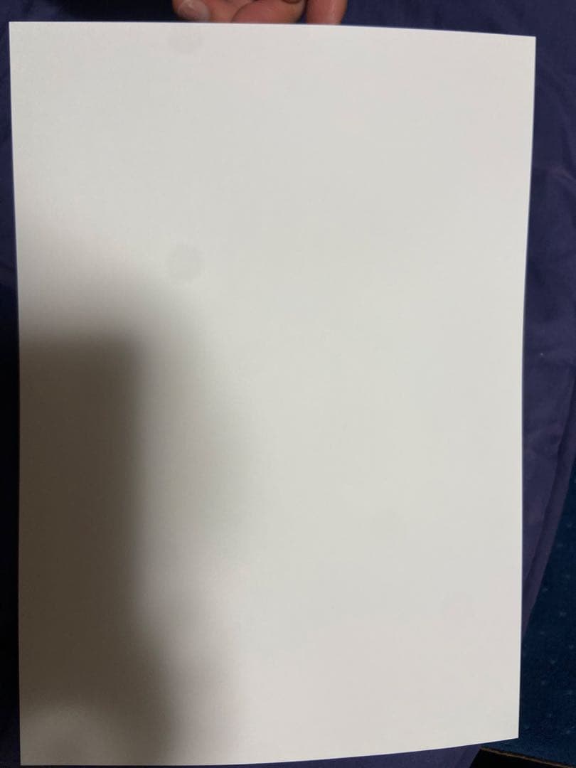 A4 サイズ ポスター レース クイーン