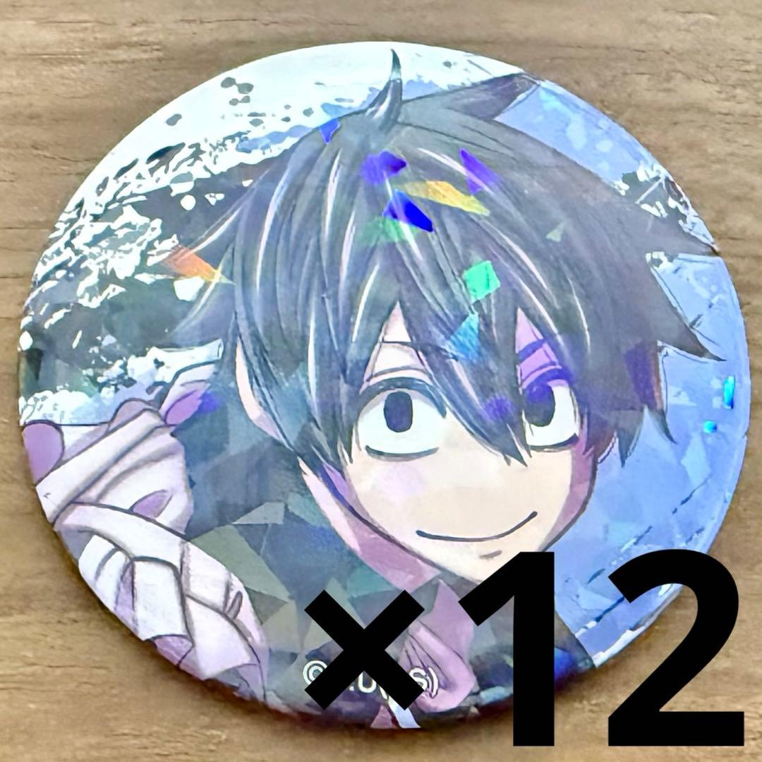 淀川真澄 ホログラム缶バッジ vol.5 メイド 12個