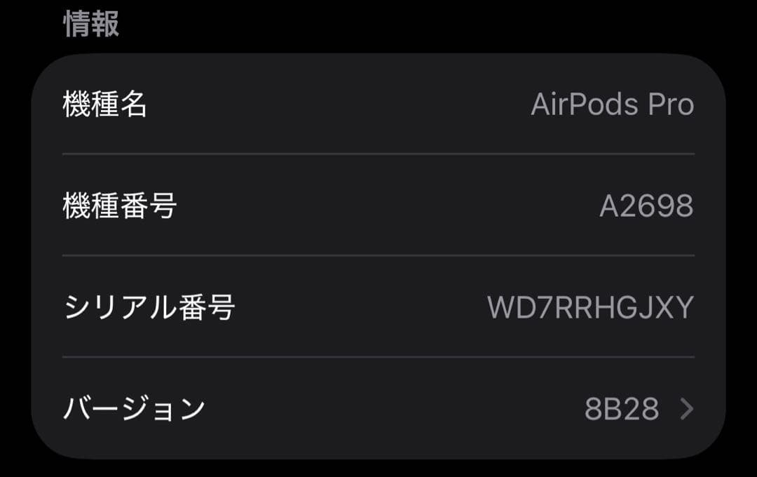 AirPods Pro (第2世代) 本体 Lightning 保護ケース付き