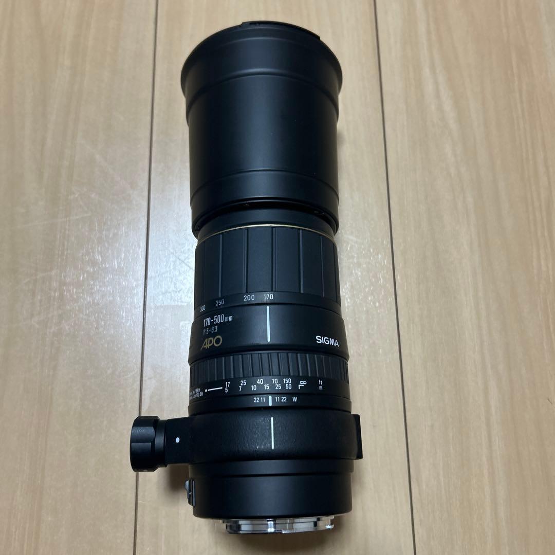 SIGMA 170-500mm F5-6.3 APO ズームレンズ