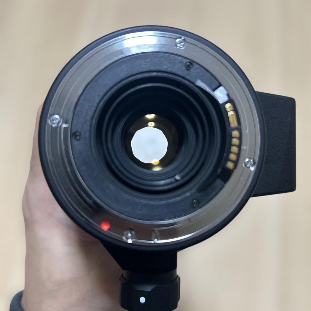 SIGMA 170-500mm F5-6.3 APO ズームレンズ