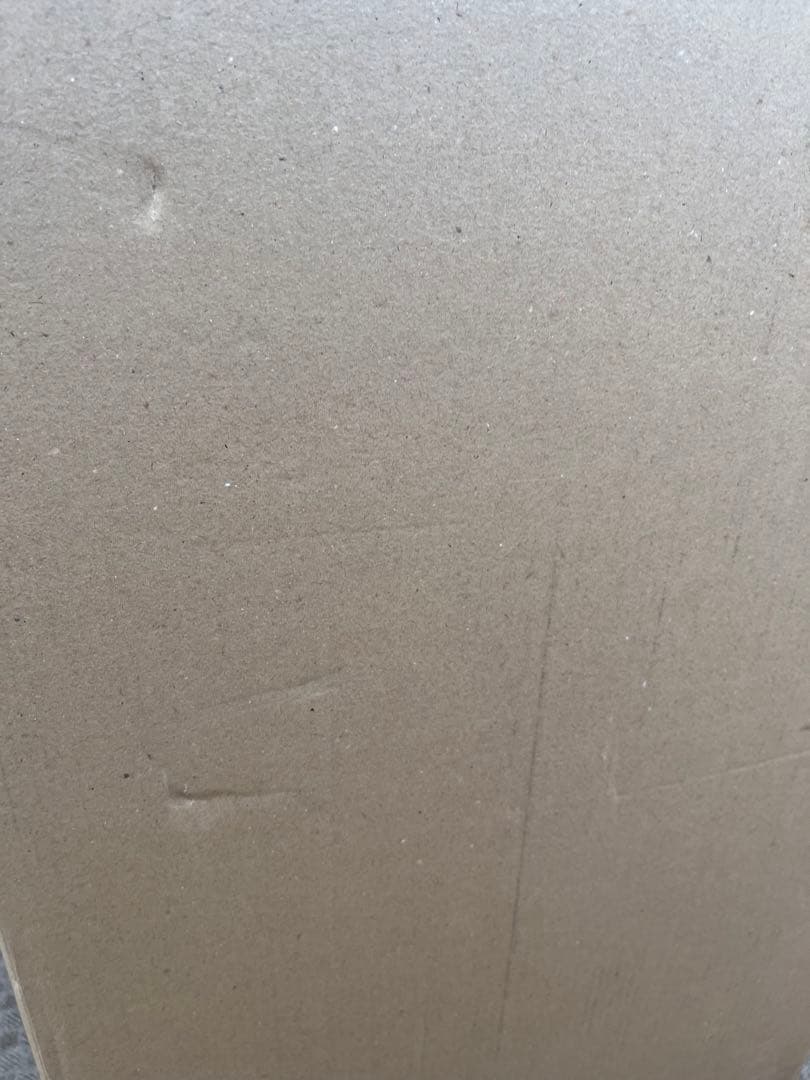 新品DELSEYデルセー スーツケース キャリーケース　ホワイト　73L