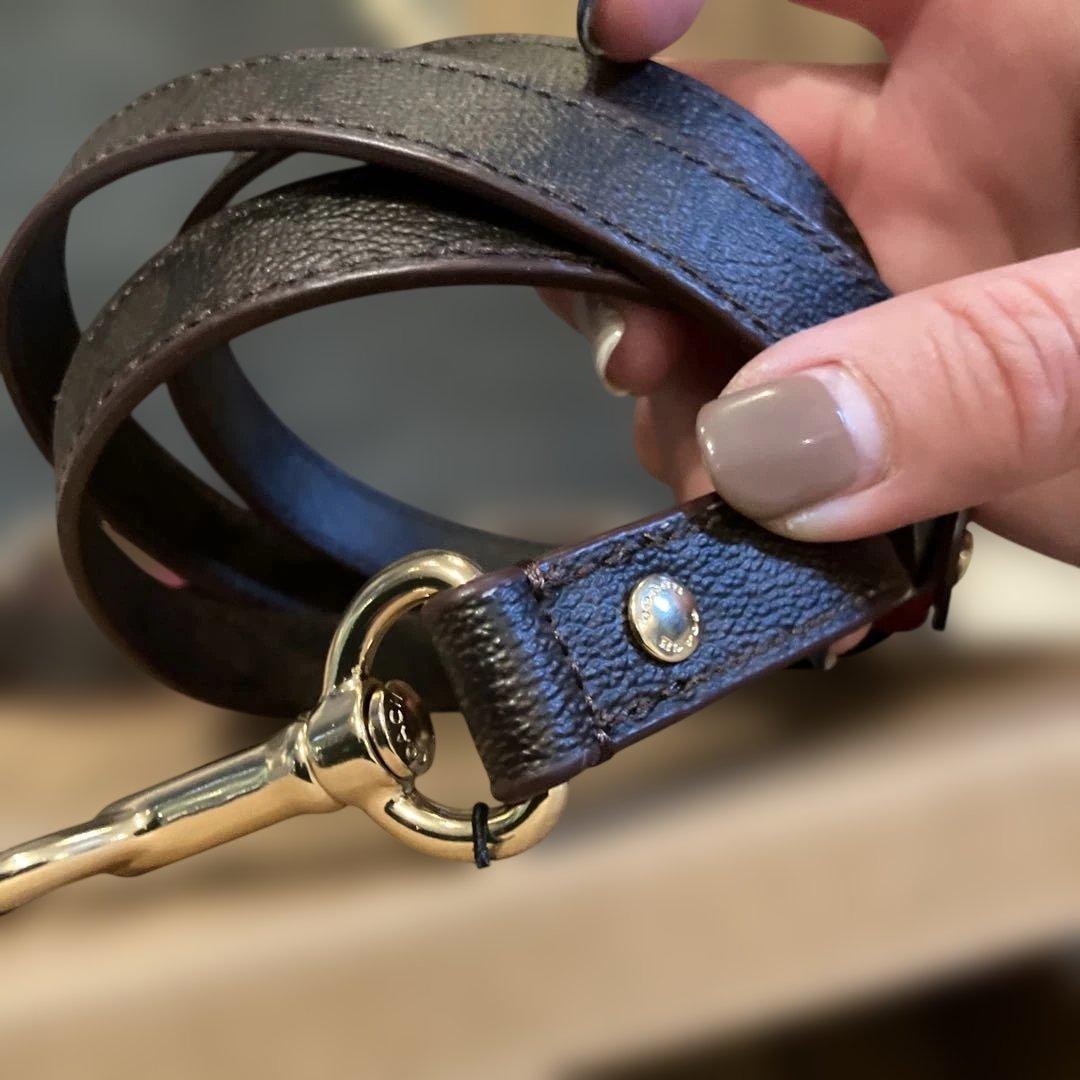 ＣＯＡＣＨ　犬リード