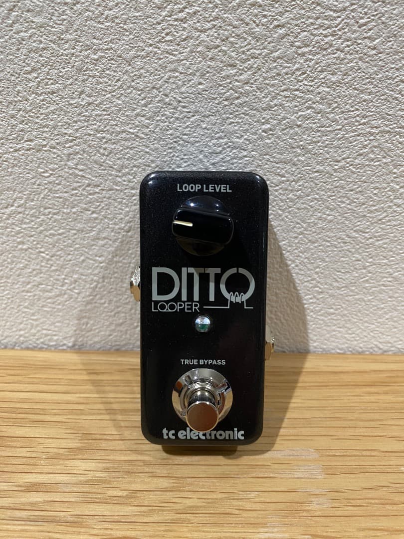 【未使用】tc electronic DITTO LOOPER