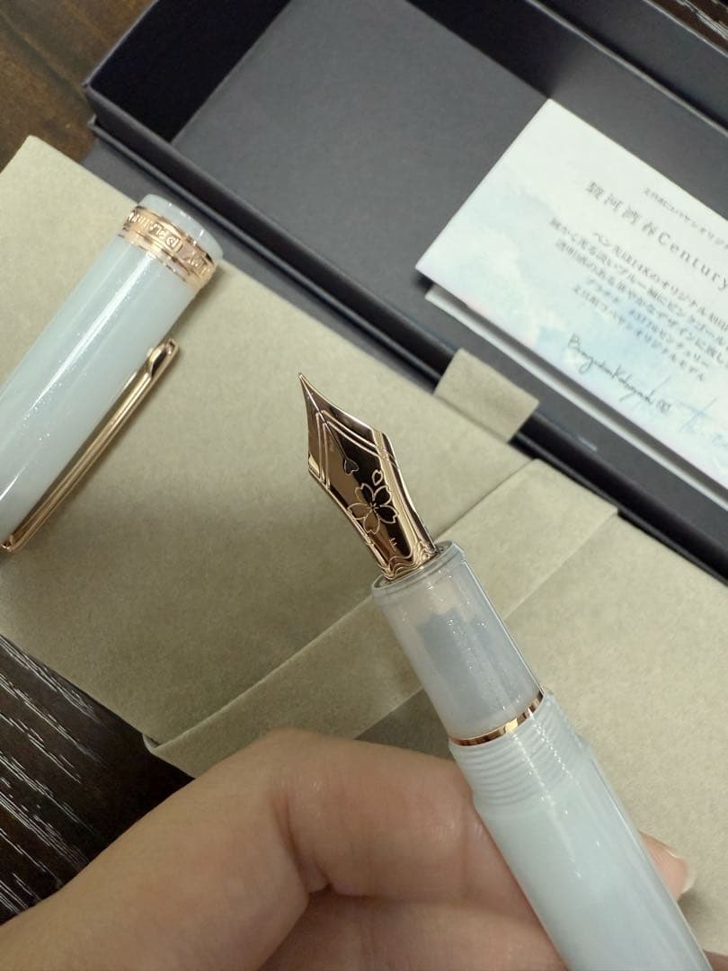 オリジナル万年筆駿河湾春 century2025 字幅F