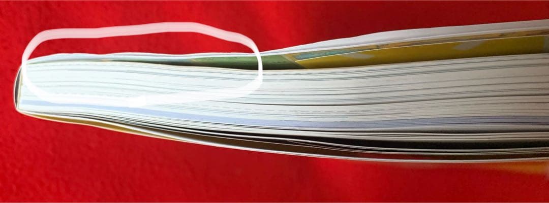 ポケモンカードゲーム　イラストコレクション　レックウザ　おきがえピカチュウ