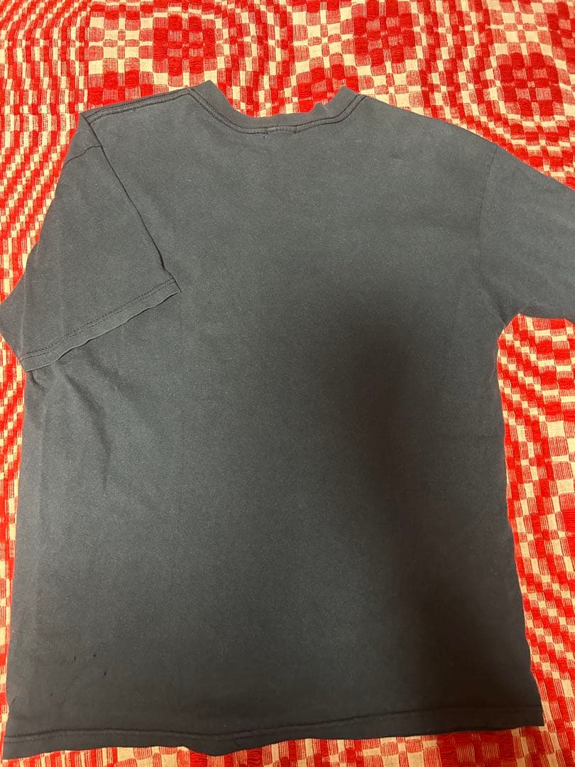 初期 テンダーロイン tシャツ 希少