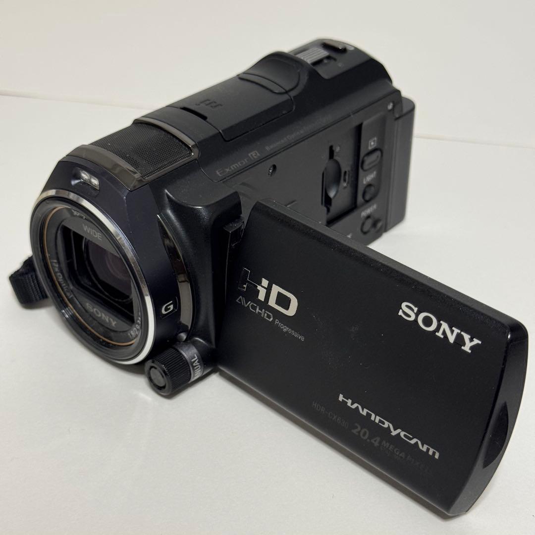 Sony Handycam ビデオカメラ HDR-CX630V