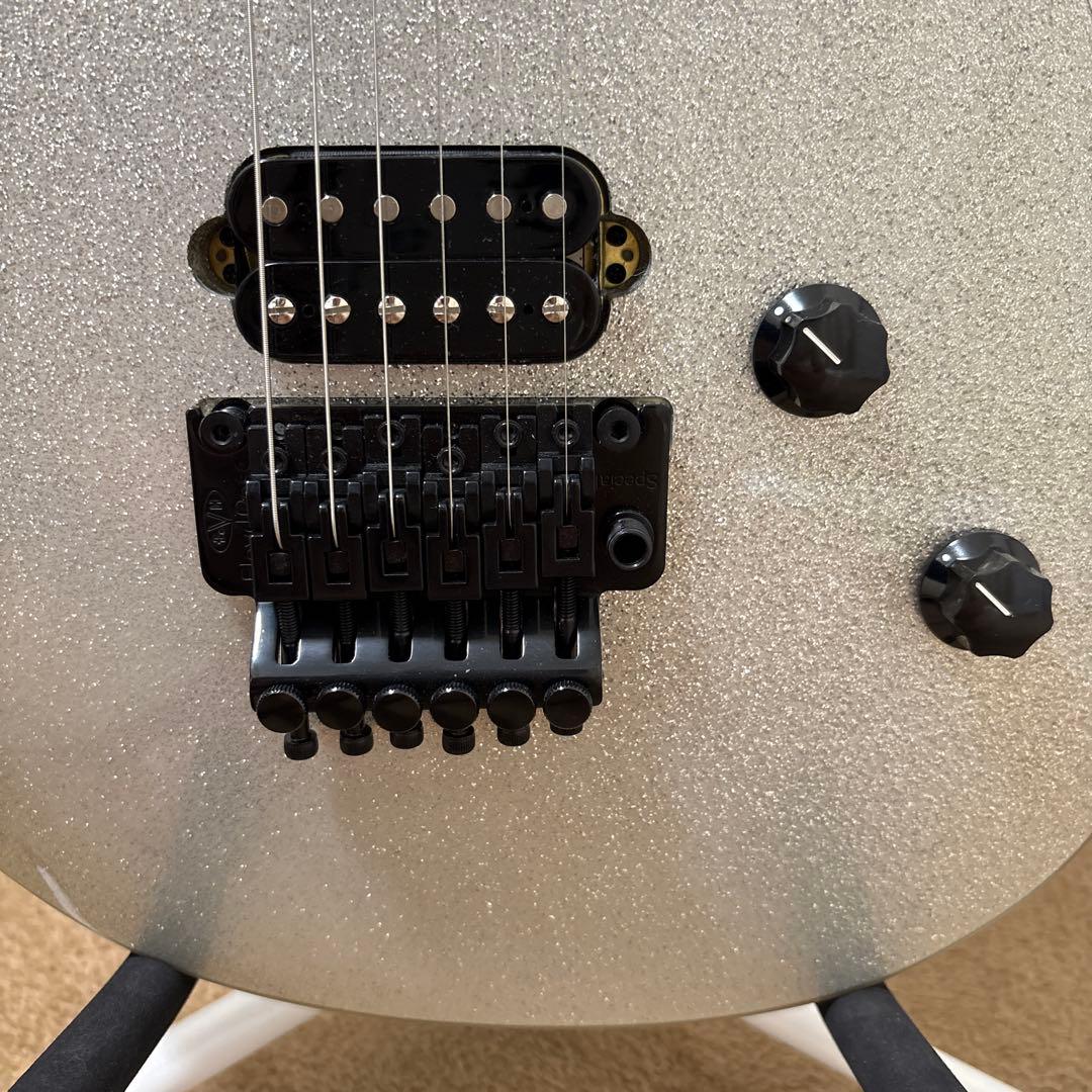 ギター EVH Wolfgang WG Standard BKD MP