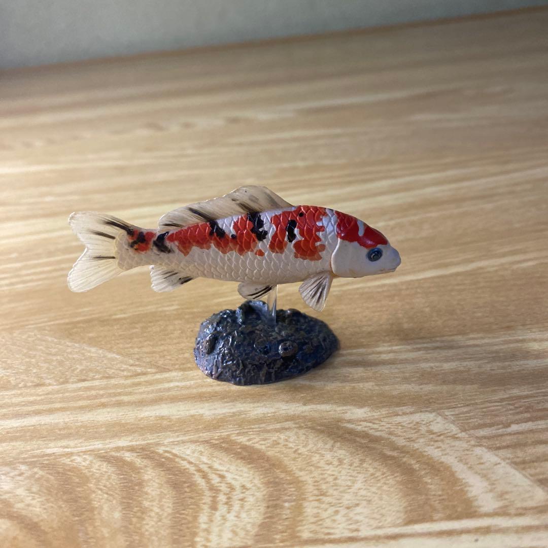 【中古】YUJIN 原色淡水魚図鑑　イワナ ウナギ　大正三色