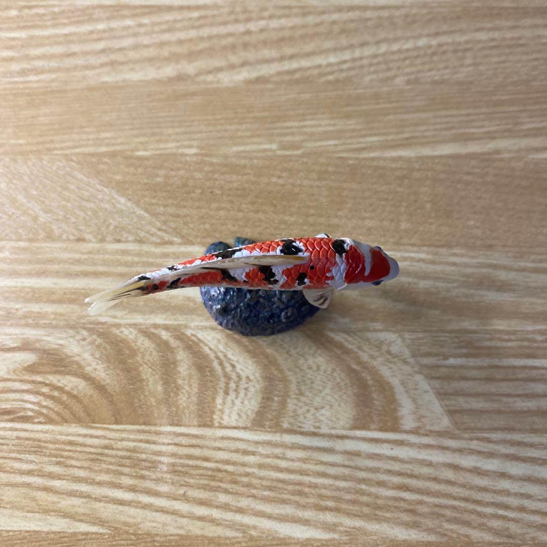 【中古】YUJIN 原色淡水魚図鑑　イワナ ウナギ　大正三色