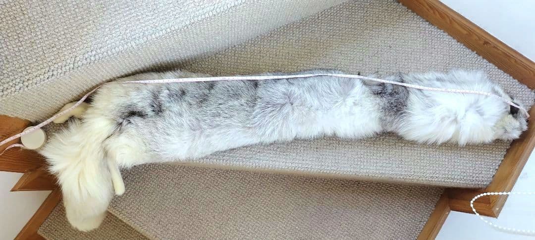 ブルーフォックス 襟巻き