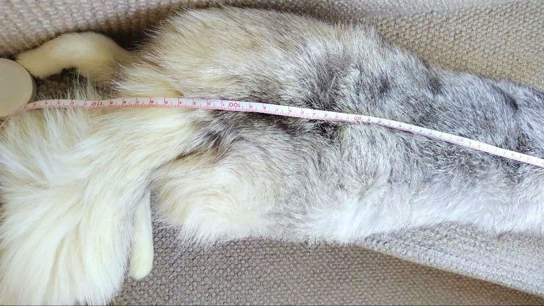 ブルーフォックス 襟巻き