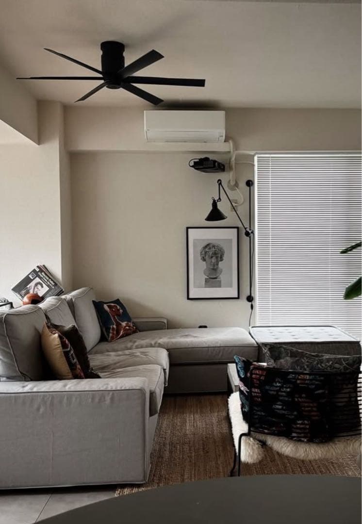 Odelic WF247 シーリングファン チャコールグレー