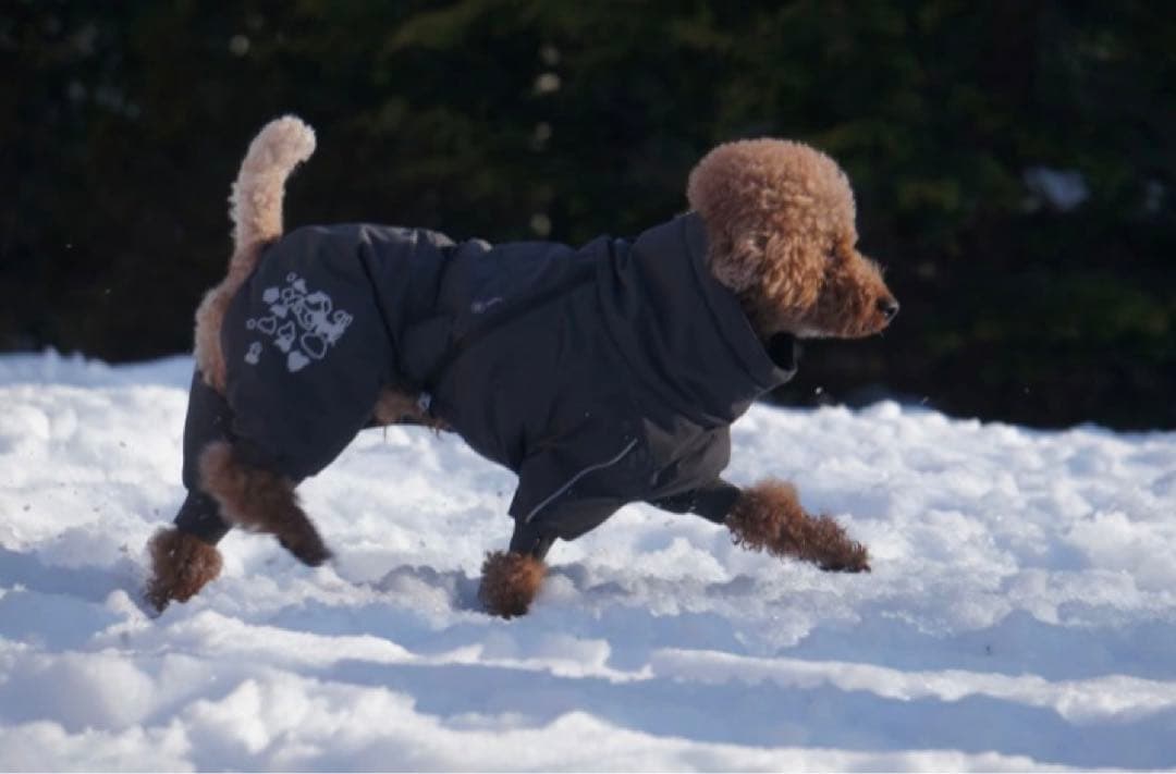 フィンランドのドッグブランド【Hurtta】エクストリームオーバーオール小型犬用