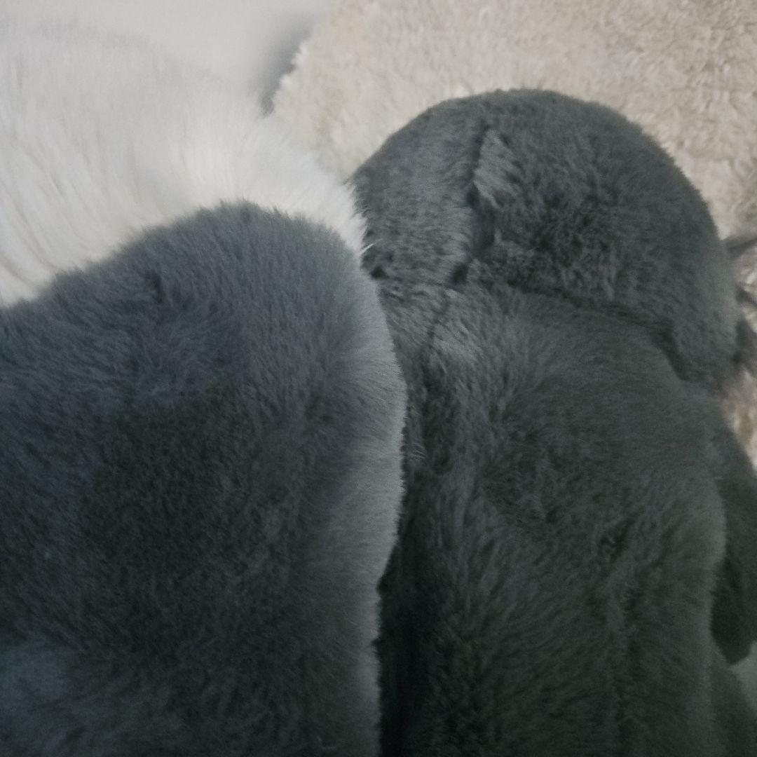 ディズニーストア　ルシファー　ぬいぐるみ CAT DAY