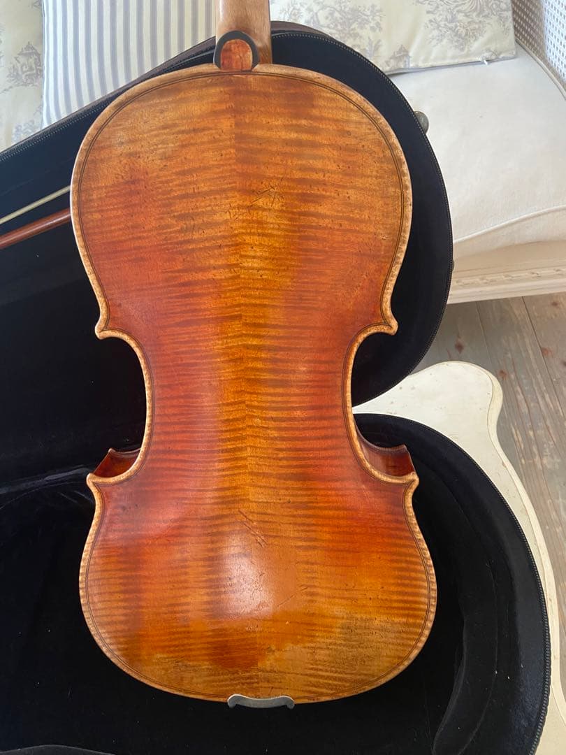 【ブルガリア製】ビオラセット