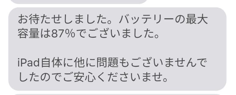 【美品最高スペック】 iPad mini6 セルラー 256GB スペースグレー