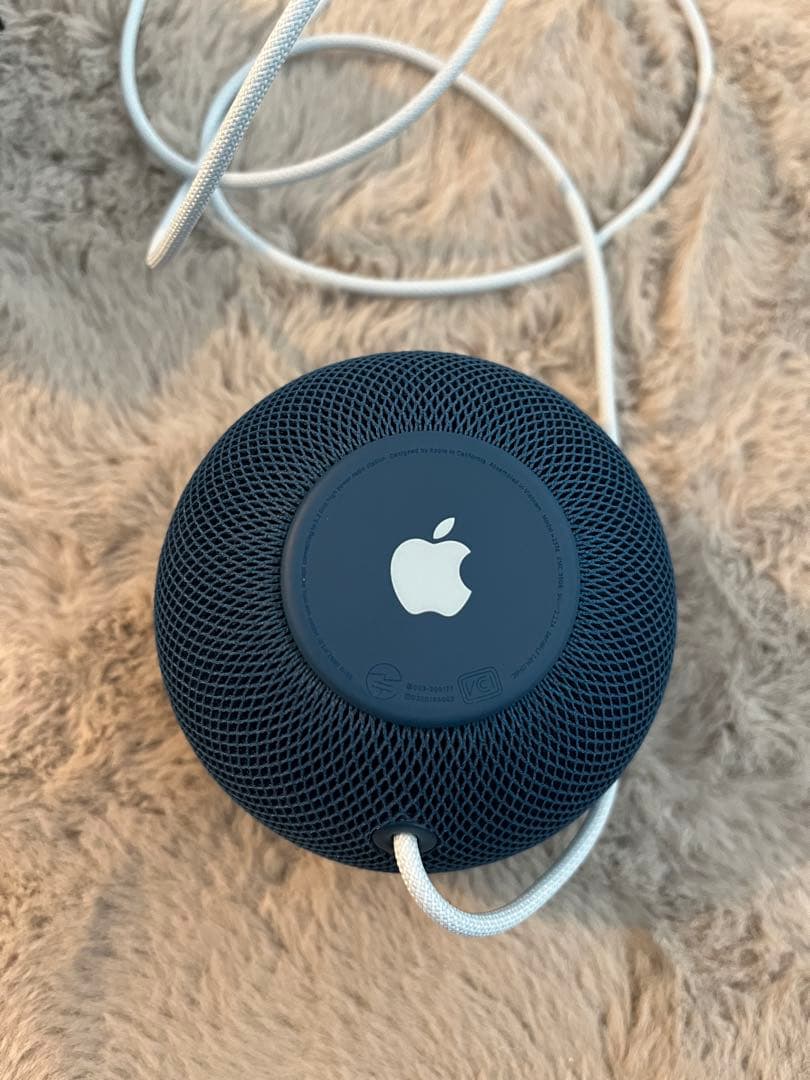 Apple pod mini ブルー