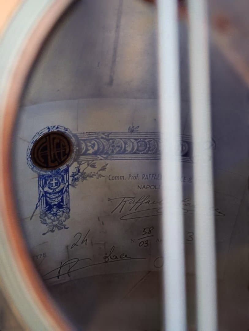 Calaceカラーチェ Mandolinマンドリン【No.24】