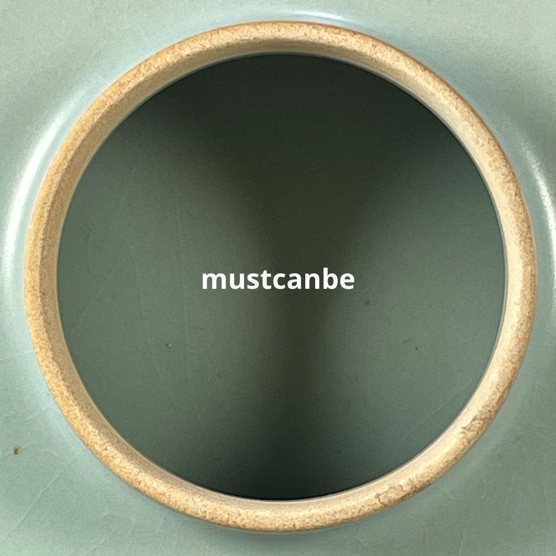 宋官窯汝磁器天青釉蓮華薫香炉 景徳鎮 陶磁器 装飾品 現代工芸品 美術品 置物